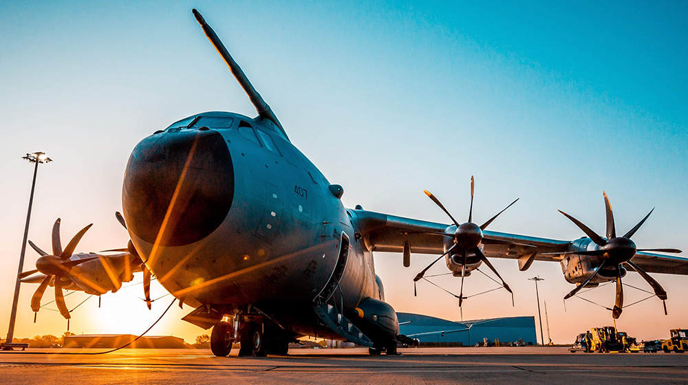 Photo: An Atlas at rest in evening sunlight
